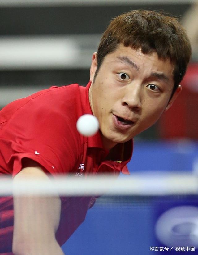 与专业性 与专业性